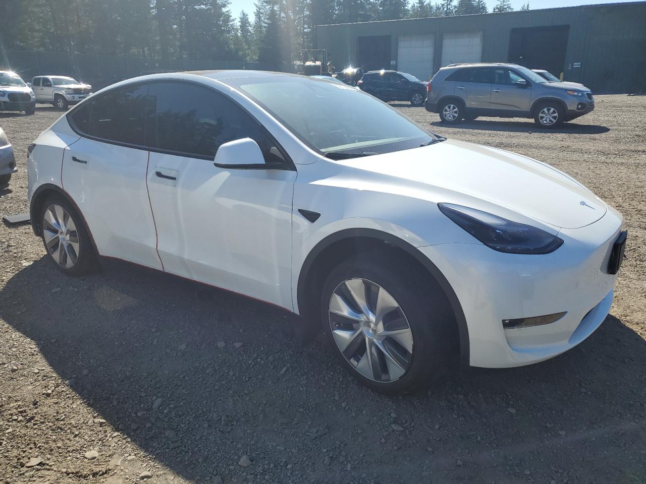 2024 Tesla Model Y VIN: 7SAYGDEE5RF047147 Lot: 69719424