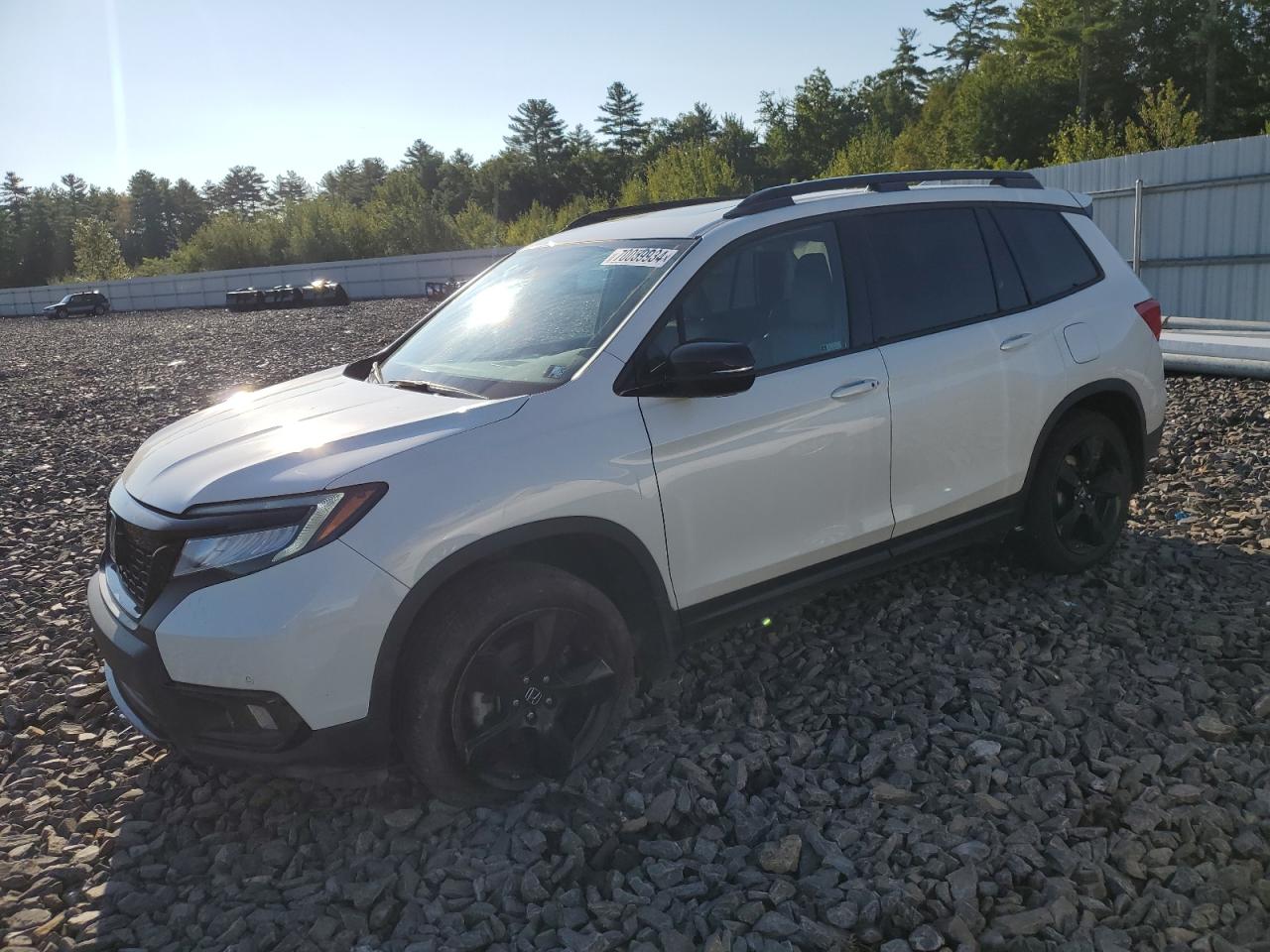 2019 Honda Passport Elite VIN: 5FNYF8H07KB001168 Lot: 70059934