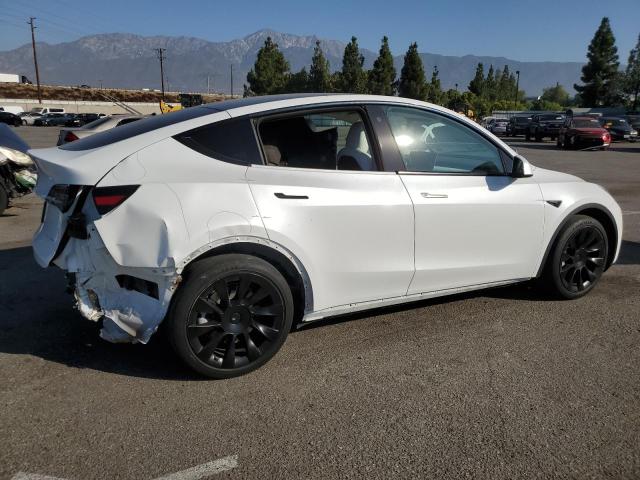 5YJYGDEE9MF231125 Tesla Model Y  3