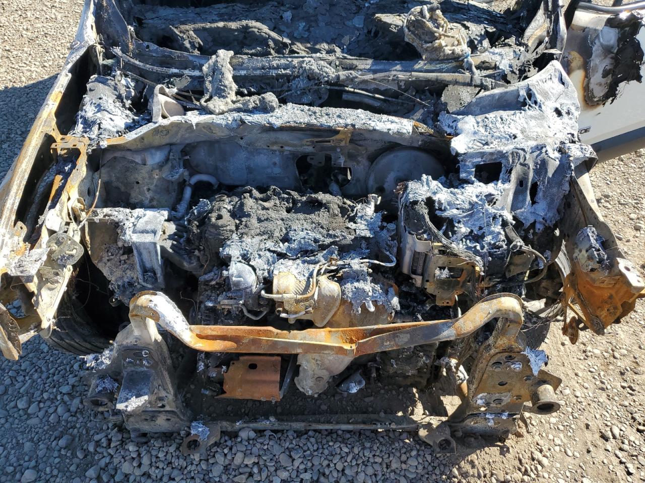 2023 Jeep Renegade Latitude VIN: ZACNJDB14PPP67206 Lot: 83431384