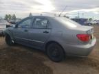 2004 Toyota Corolla Ce na sprzedaż w Rocky View County, AB - Front End