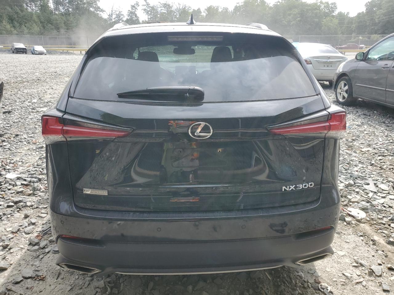 2019 Lexus Nx 300 Base VIN: JTJBARBZXK2207232 Lot: 71118754