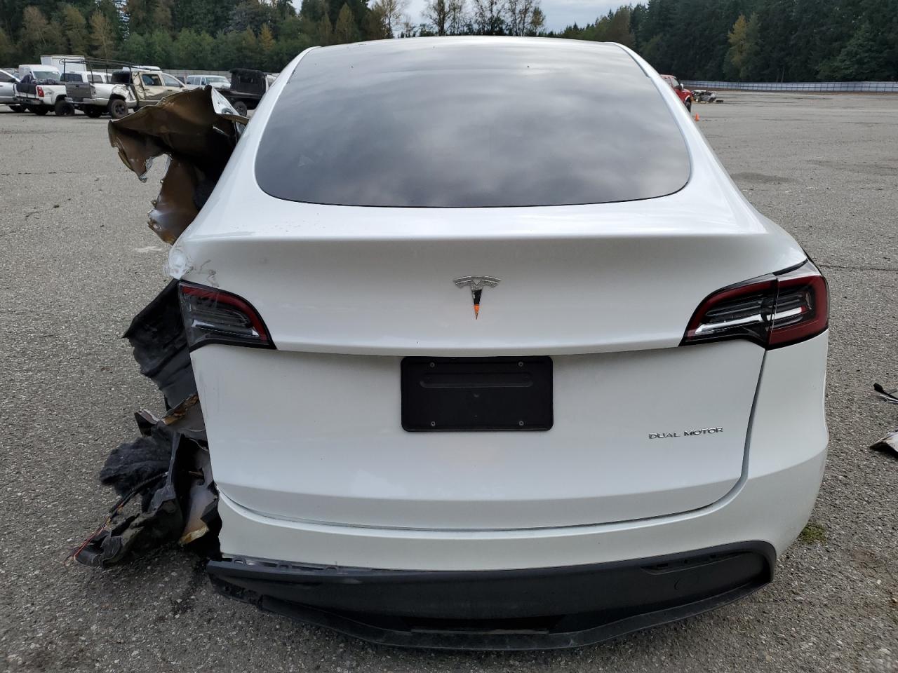 2024 Tesla Model Y VIN: 7SAYGDEE1RF083241 Lot: 71818634