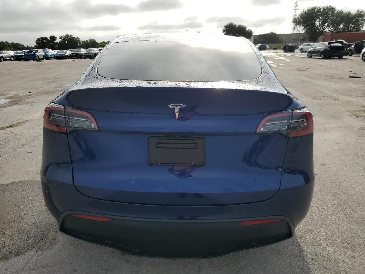 2024 Tesla Model Y VIN: 7SAYGDEDXRF167257 Lot: 71641124