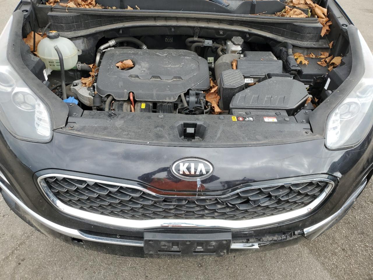 2020 Kia Sportage Ex VIN: KNDPNCAC4L7685920 Lot: 70281234