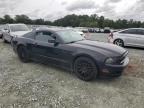 2014 Ford Mustang  for Sale in Mebane, NC - Minor Dent/Scratches