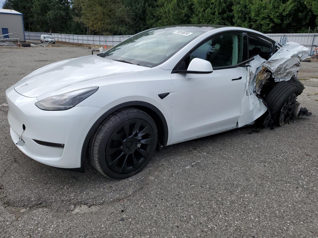 7SAYGDEE1RF083241 2024 TESLA MODEL Y - Image 1