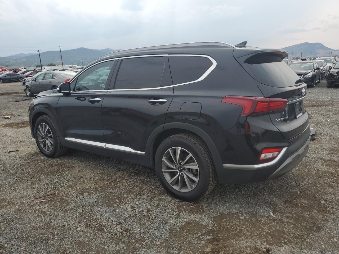 2020 Hyundai Santa Fe Sel VIN: 5NMS3CAD1LH212493 Lot: 69121684