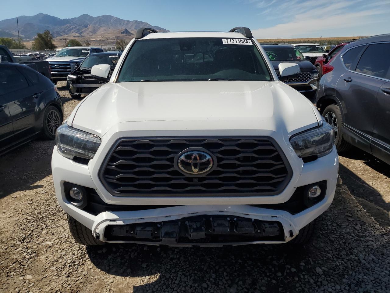 2021 Toyota Tacoma Double Cab VIN: 3TMDZ5BN8MM101478 Lot: 71314004