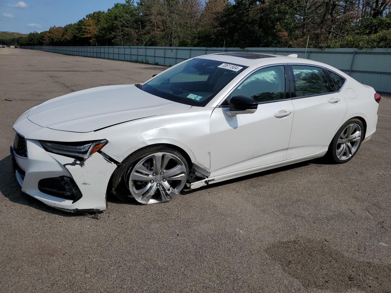 2021 Acura Tlx Technology VIN: 19UUB5F43MA009439 Lot: 70611504