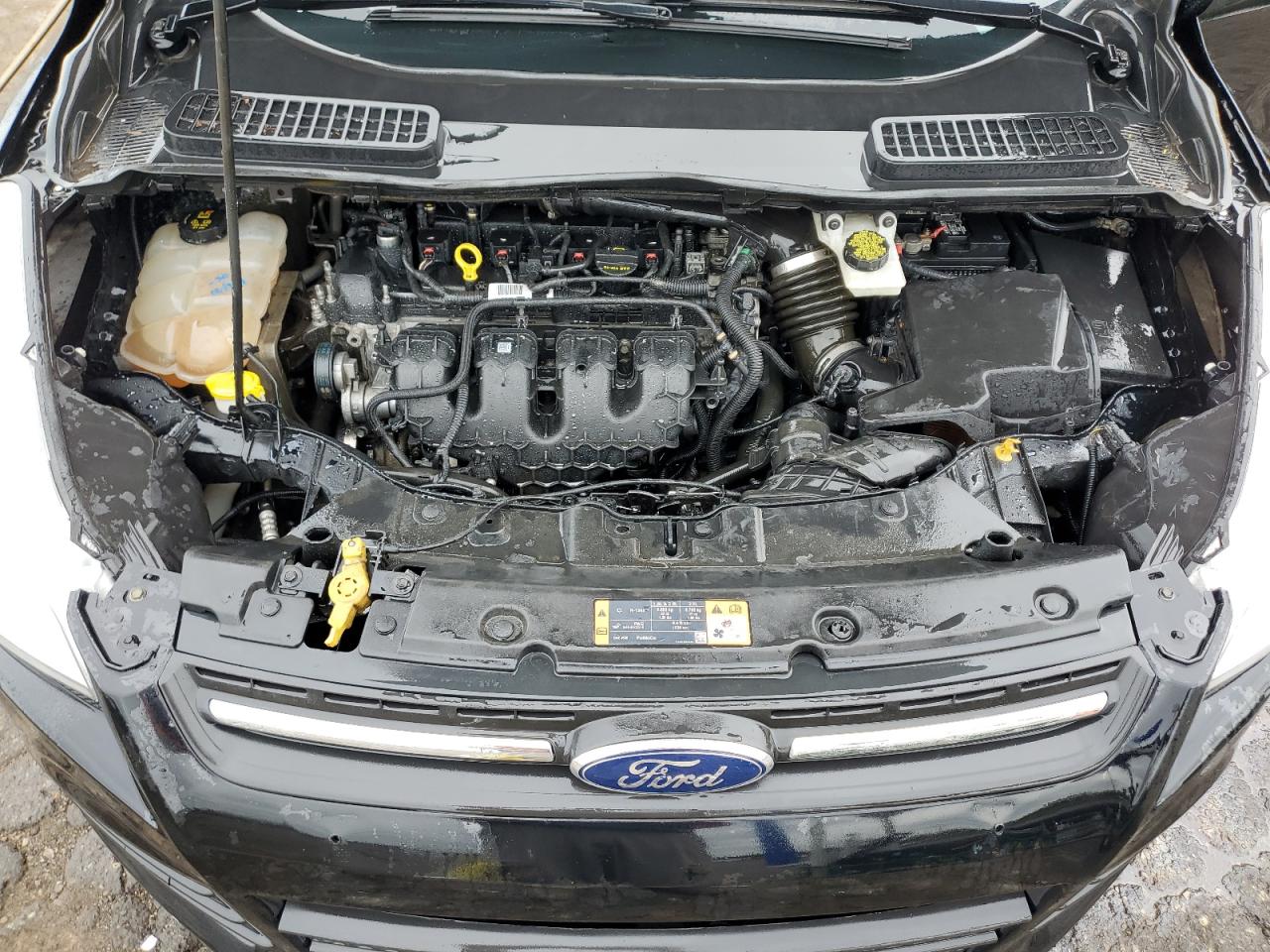 2016 Ford Escape Se VIN: 1FMCU9G98GUB74441 Lot: 72415684