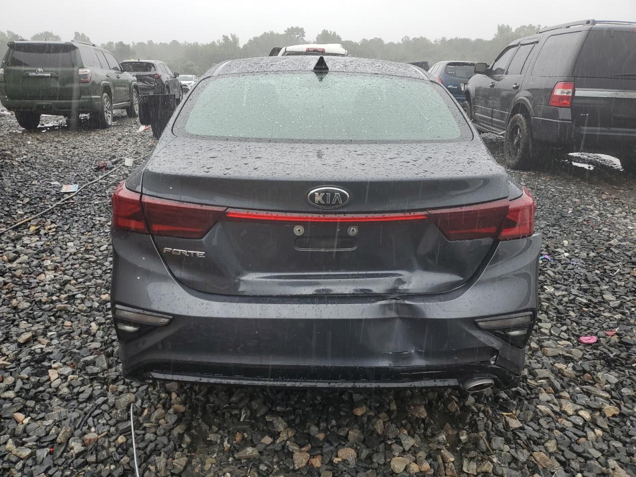 3KPF24AD4KE060919 2019 Kia Forte Fe