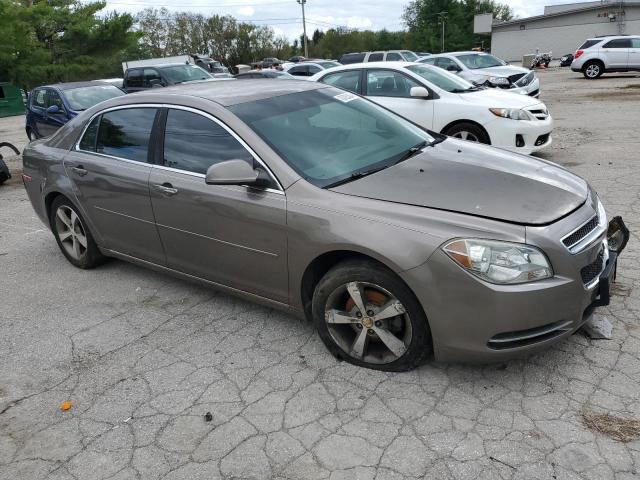  CHEVROLET MALIBU 2012 Цвет загара