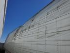 2023 Gdan Reefer for Sale in Martinez, CA - All Over