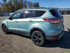 2013 Ford Escape Se   на продаже в Arlington, WA - Front End