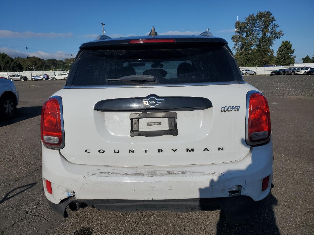 2019 Mini Cooper Countryman All4 VIN: WMZYV5C51K3F57741 Lot: 71293094