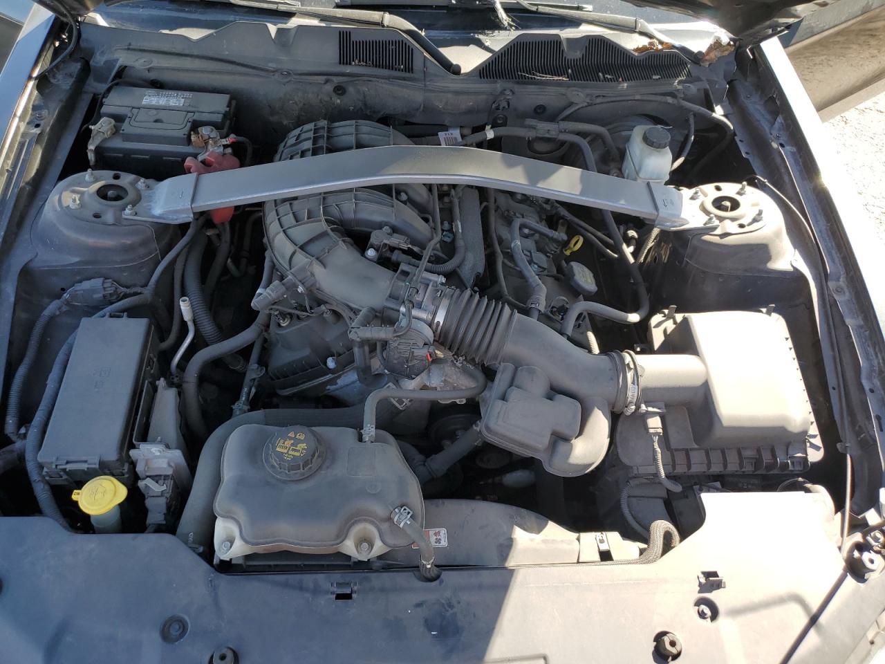 2012 Ford Mustang VIN: 1ZVBP8EM9C5203326 Lot: 73844674