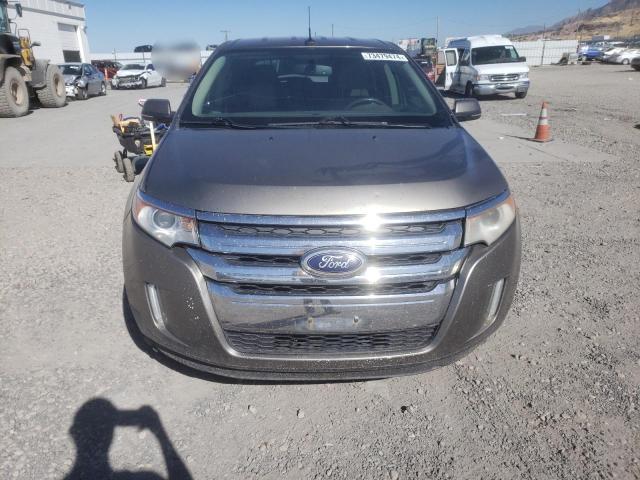  FORD EDGE 2014 tan