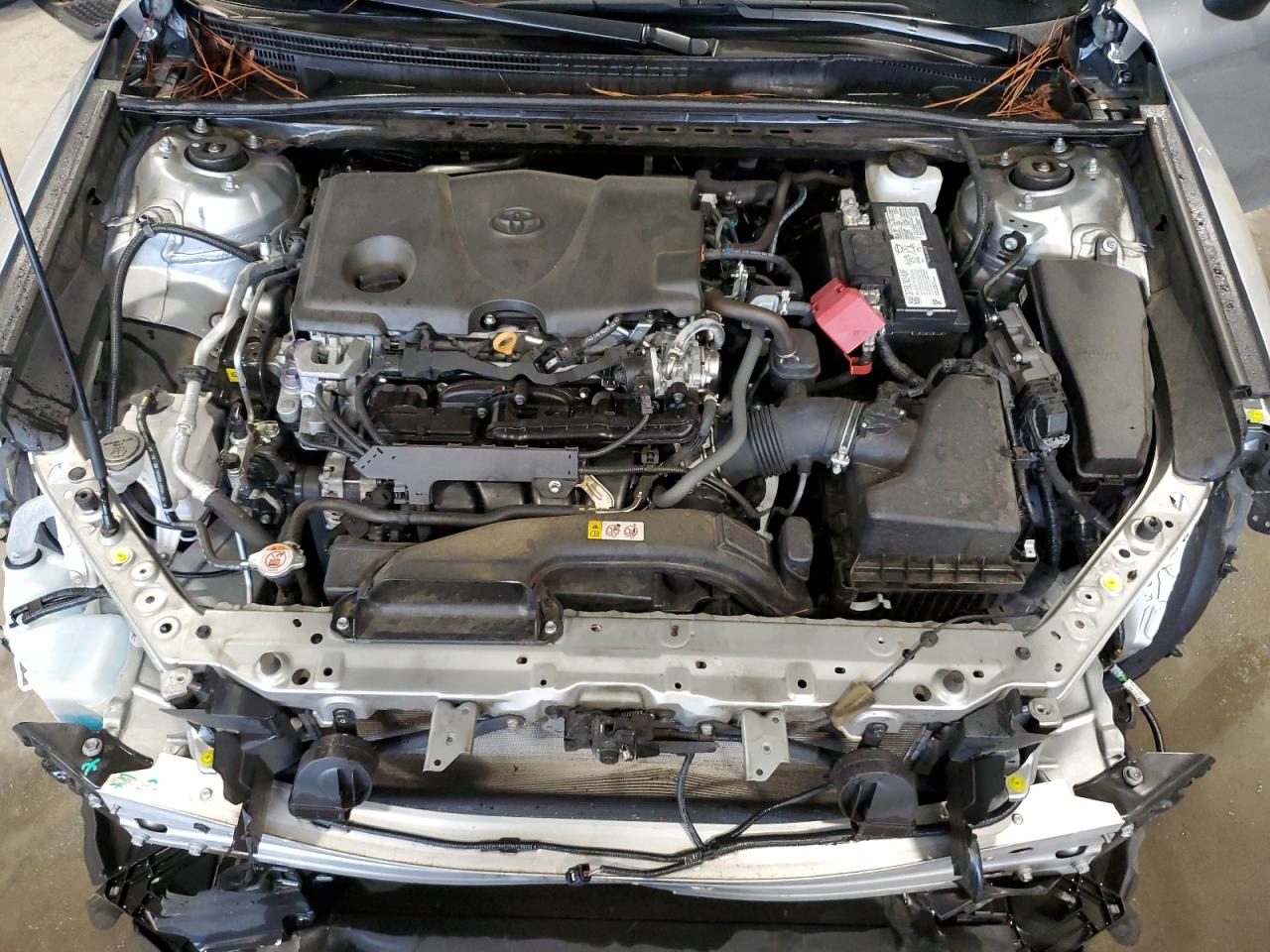 4T1F11AKXMU491815 2021 Toyota Camry Xle