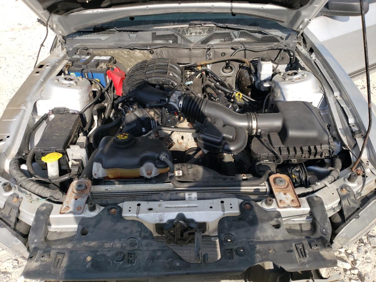 2013 Ford Mustang VIN: 1ZVBP8AM5D5240137 Lot: 70581394