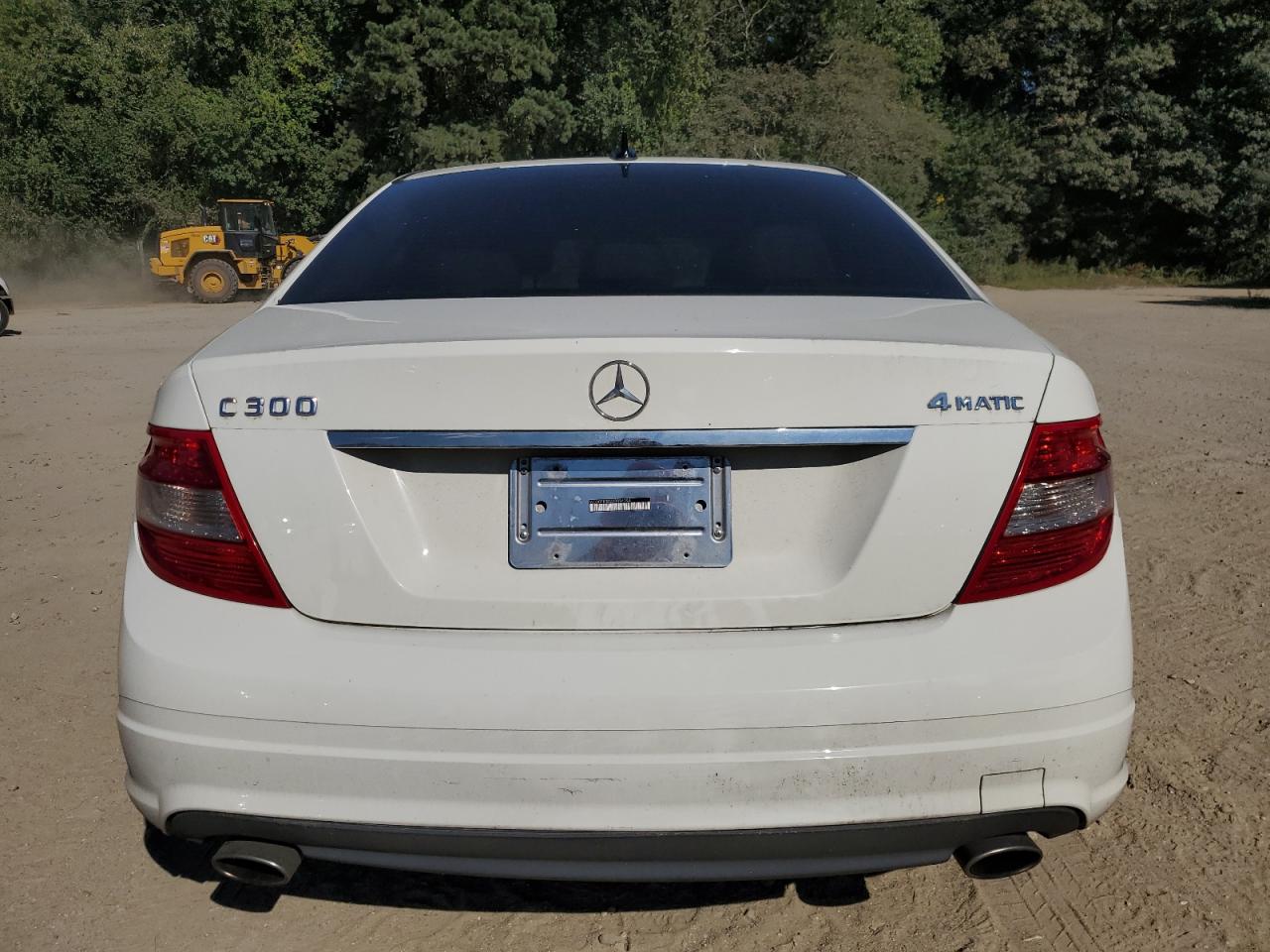 2010 Mercedes-Benz C 300 4Matic VIN: WDDGF8BB2AR094394 Lot: 69984284