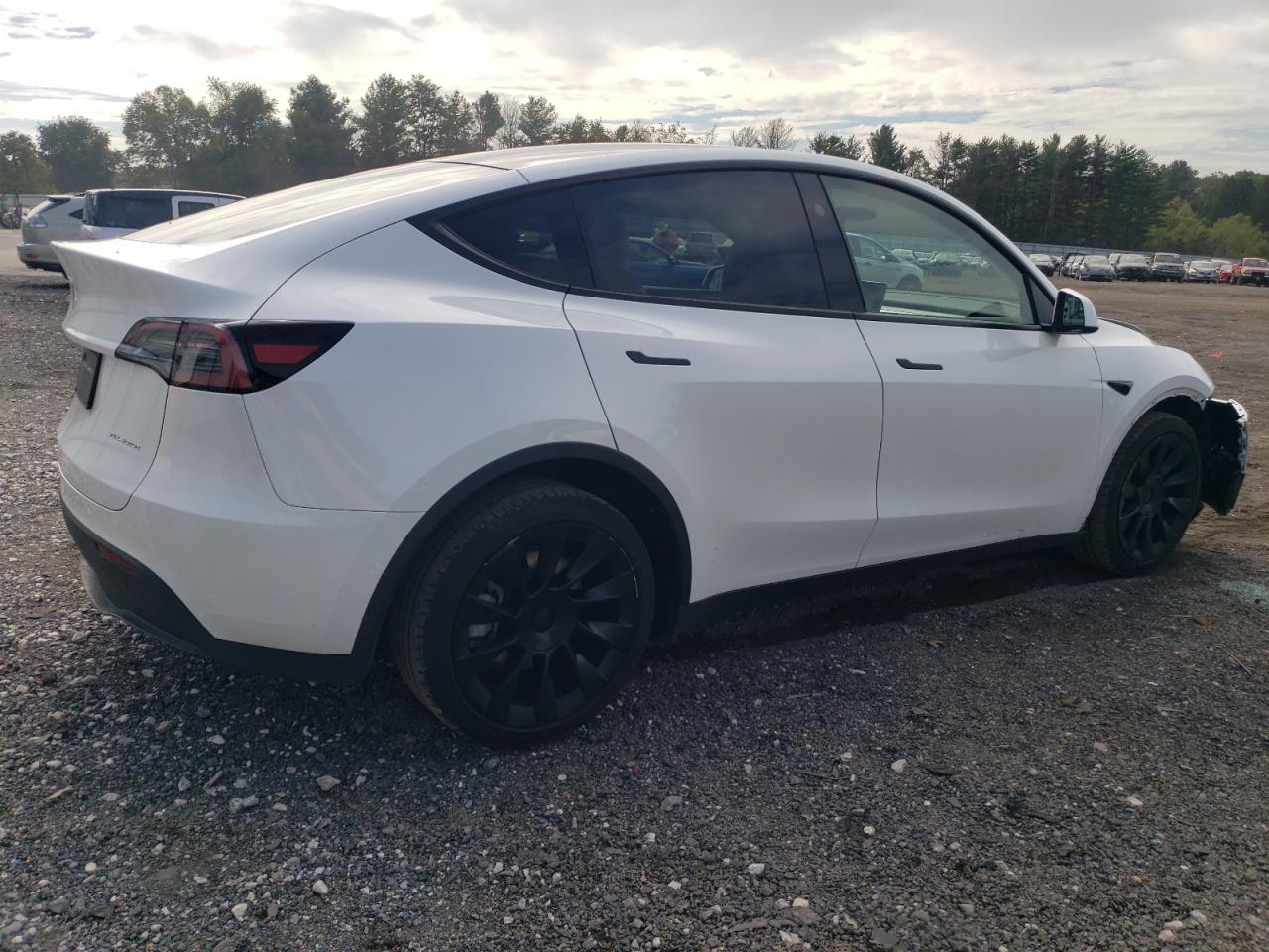 2023 Tesla Model Y VIN: 7SAYGDEE6PA148420 Lot: 78151704