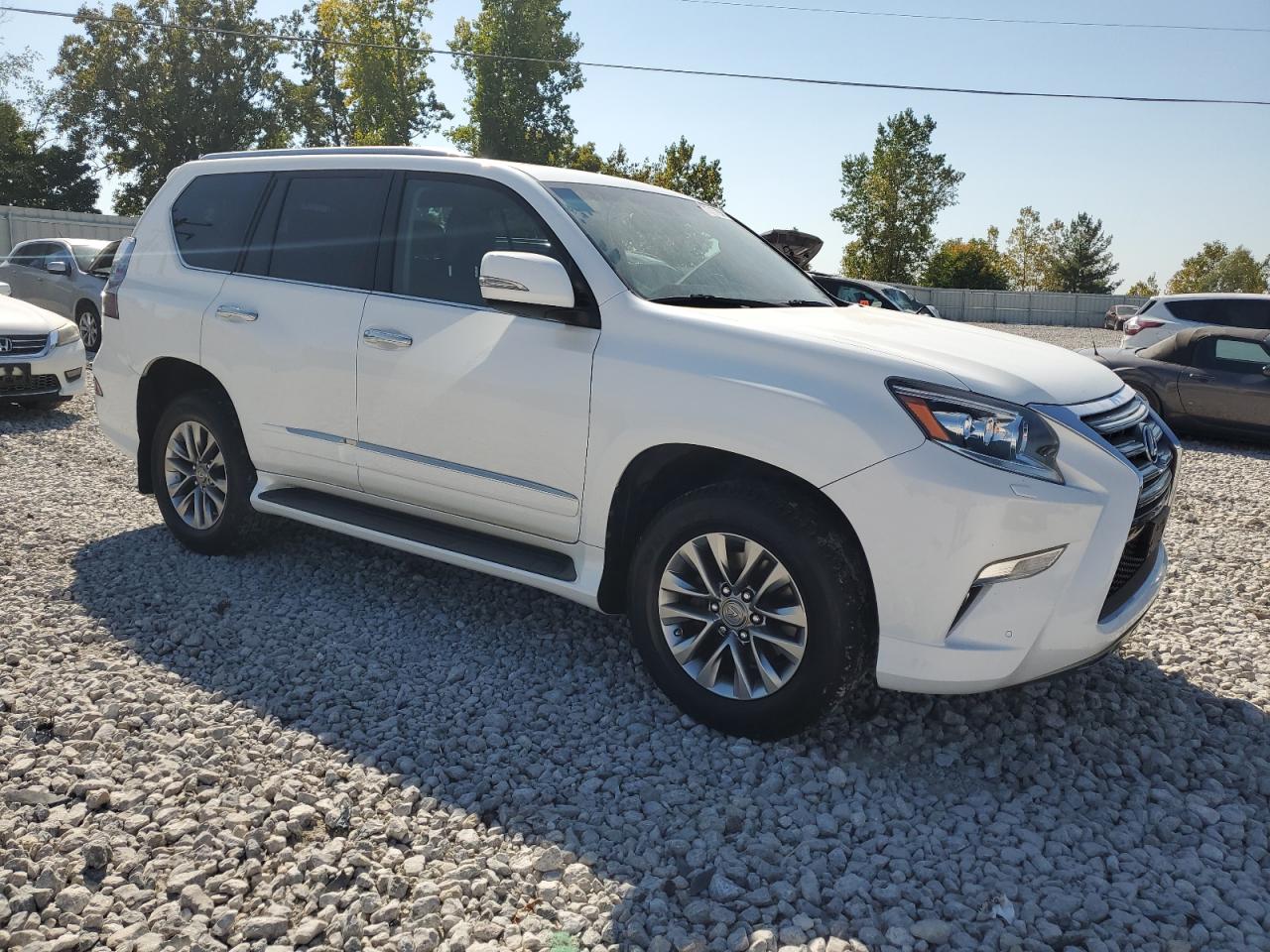 JTJJM7FX6E5077873 2014 Lexus Gx 460 Premium