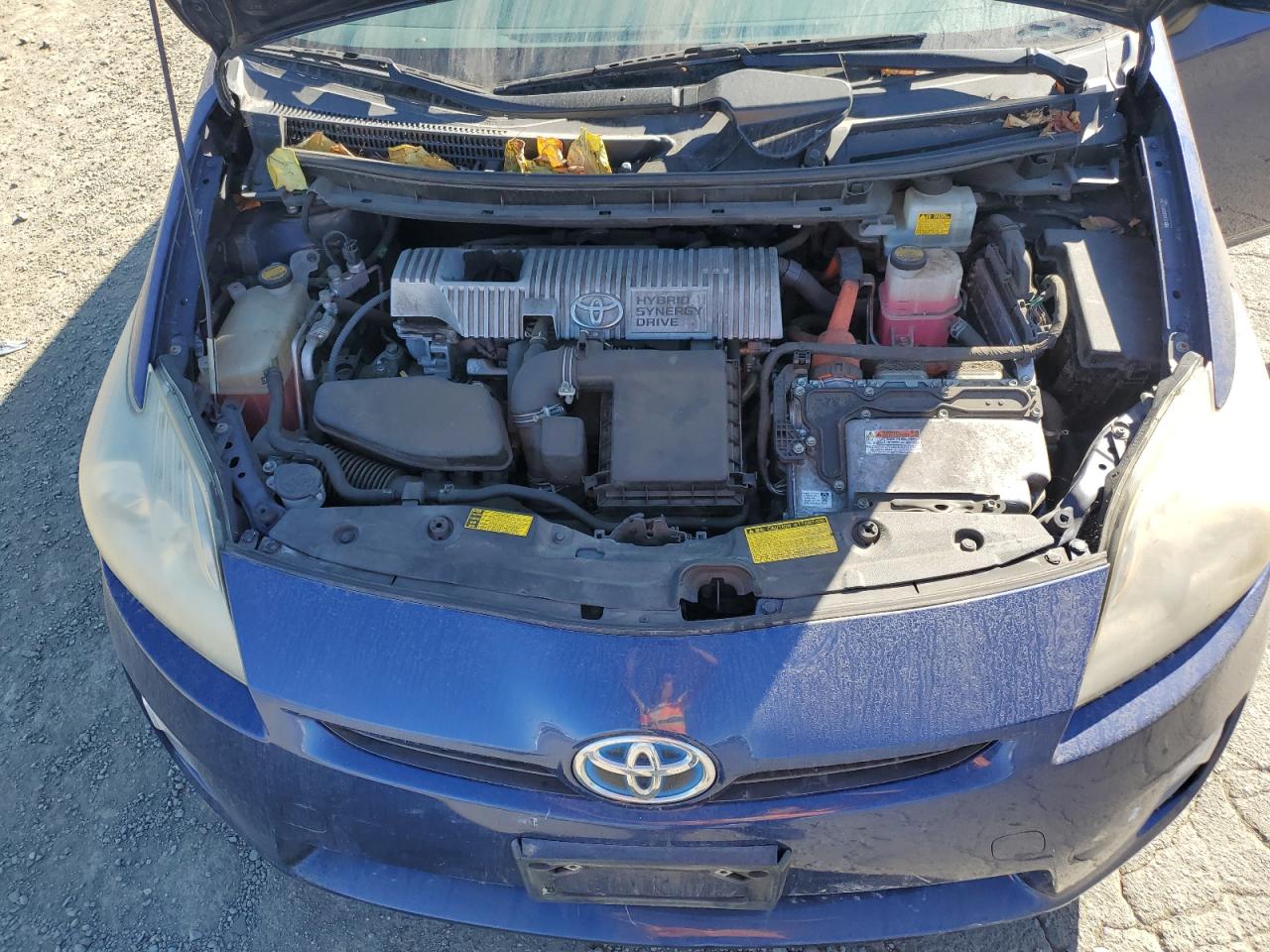 JTDKN3DU2A1257259 2010 Toyota Prius