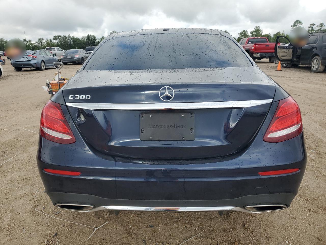 2019 Mercedes-Benz E 300 VIN: WDDZF4JB5KA673057 Lot: 70956774