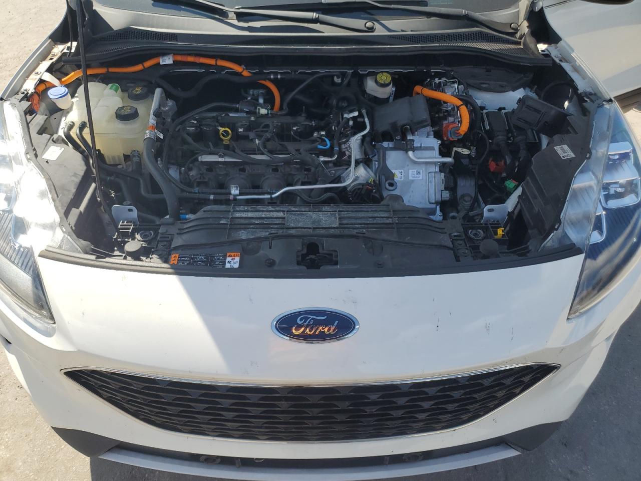 2020 Ford Escape Titanium VIN: 1FMCU0DZ1LUB58088 Lot: 72524624