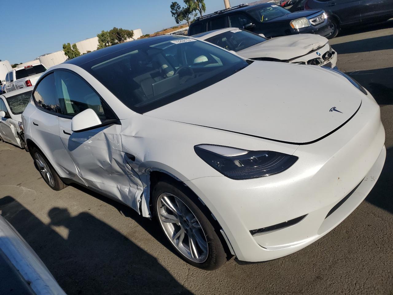 2024 Tesla Model Y VIN: 7SAYGDEE8RF076769 Lot: 70268184