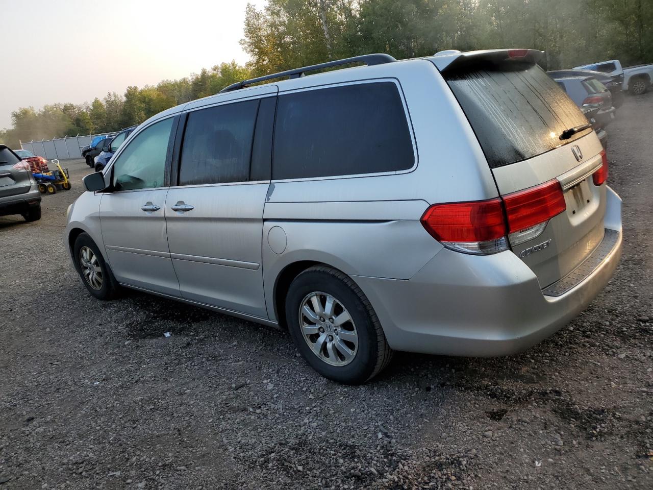 2009 Honda Odyssey Exl VIN: 5FNRL38619B501034 Lot: 71433584