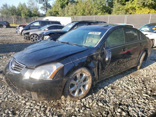 2008 Nissan Maxima Se