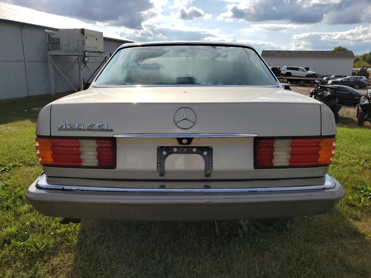 1986 Mercedes-Benz 420 Sel VIN: WDBCA35D2GA246302 Lot: 71673274