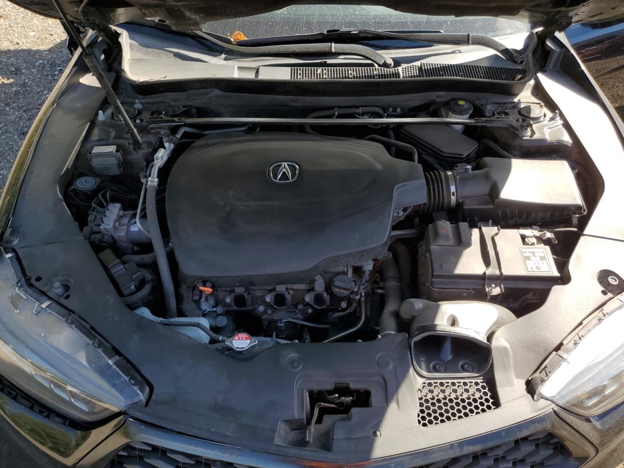 2020 Acura Tlx Technology VIN: 19UUB3F66LA800925 Lot: 70845674