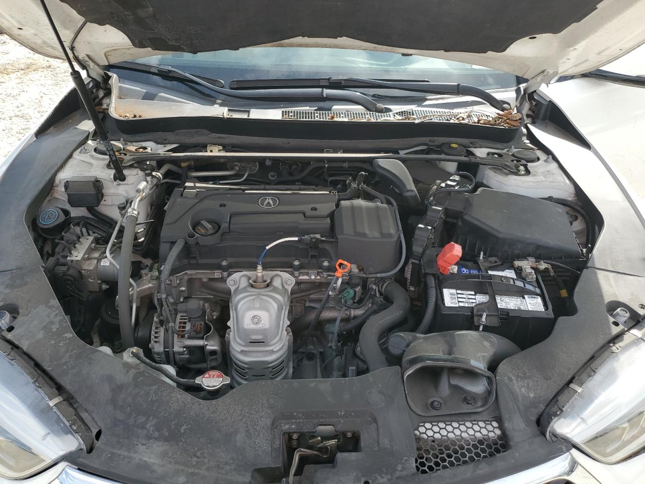 19UUB1F33KA007624 2019 Acura Tlx