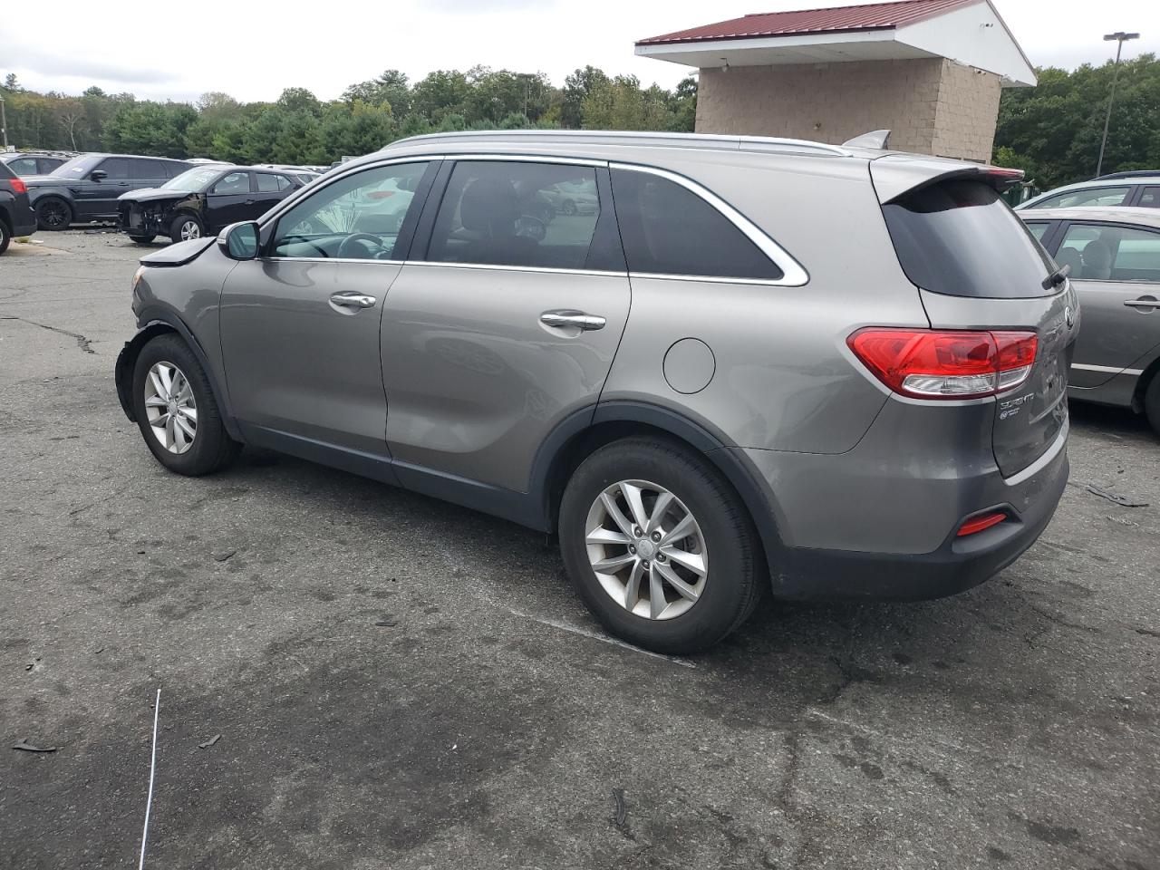 5XYPG4A33HG206459 2017 KIA SORENTO - Image 2