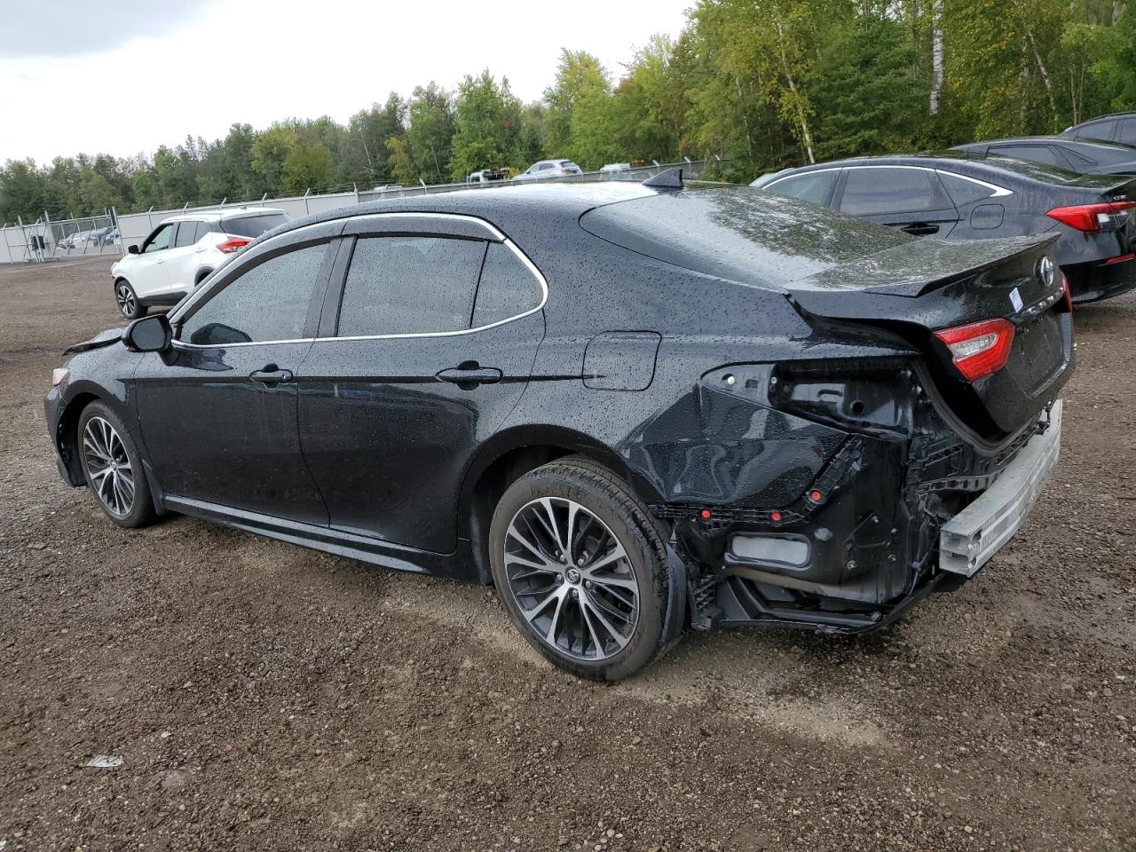 4T1J11AK5LU884906 2020 TOYOTA CAMRY - Image 2