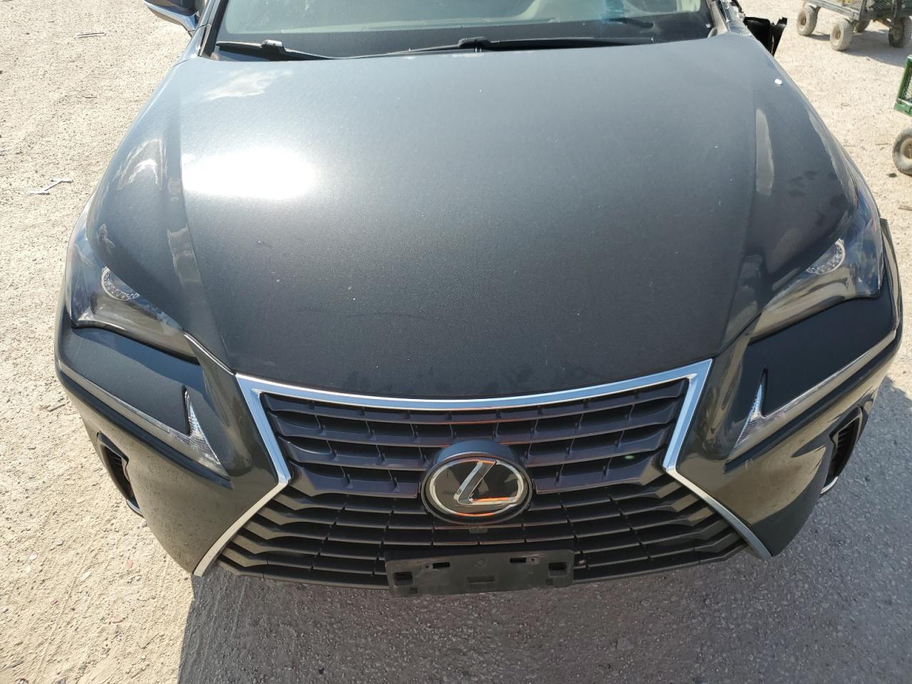 2020 Lexus Nx 300 Base VIN: JTJAARBZ1L5013829 Lot: 71632324