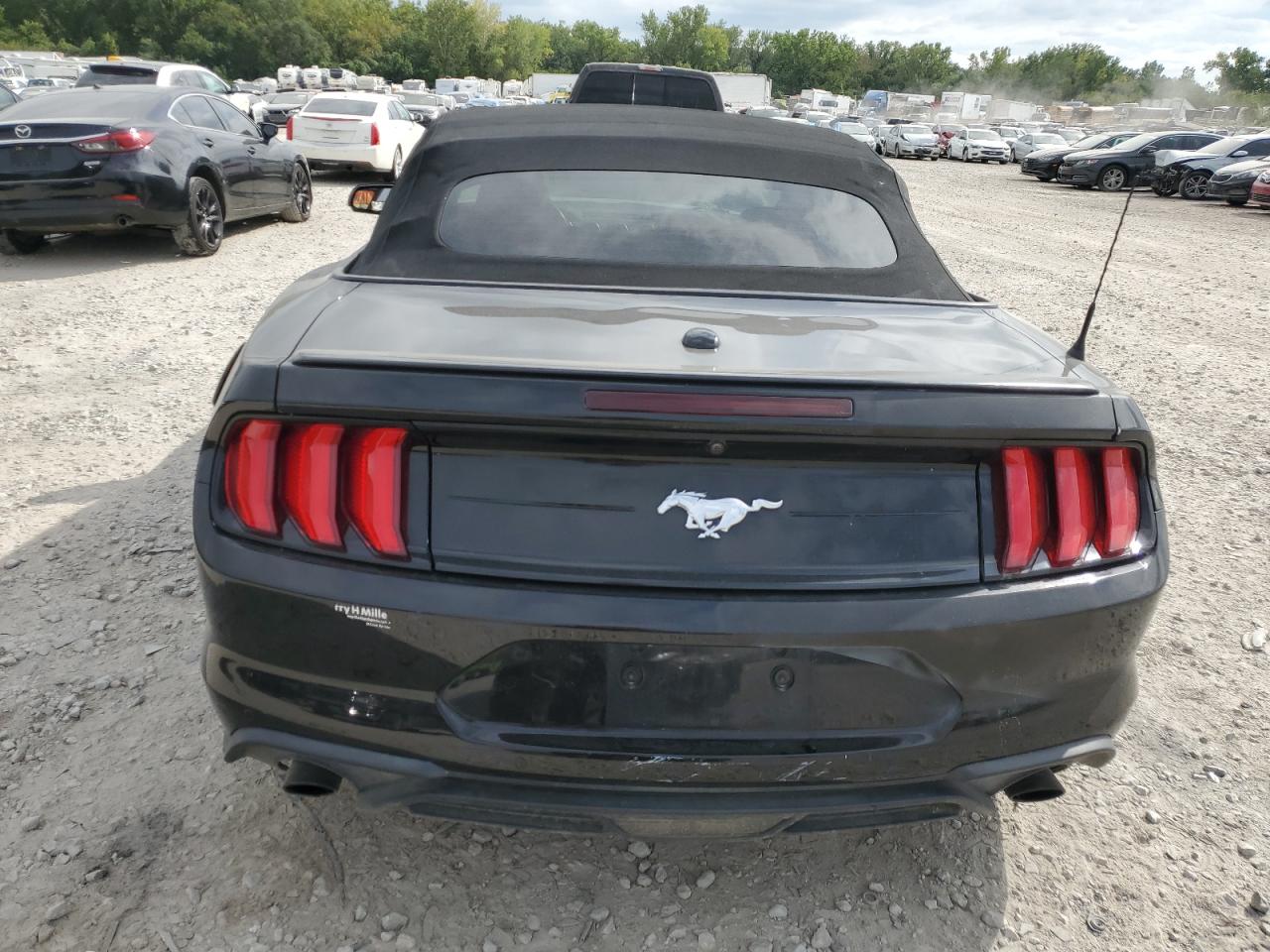 1FATP8UH1K5159435 2019 Ford Mustang