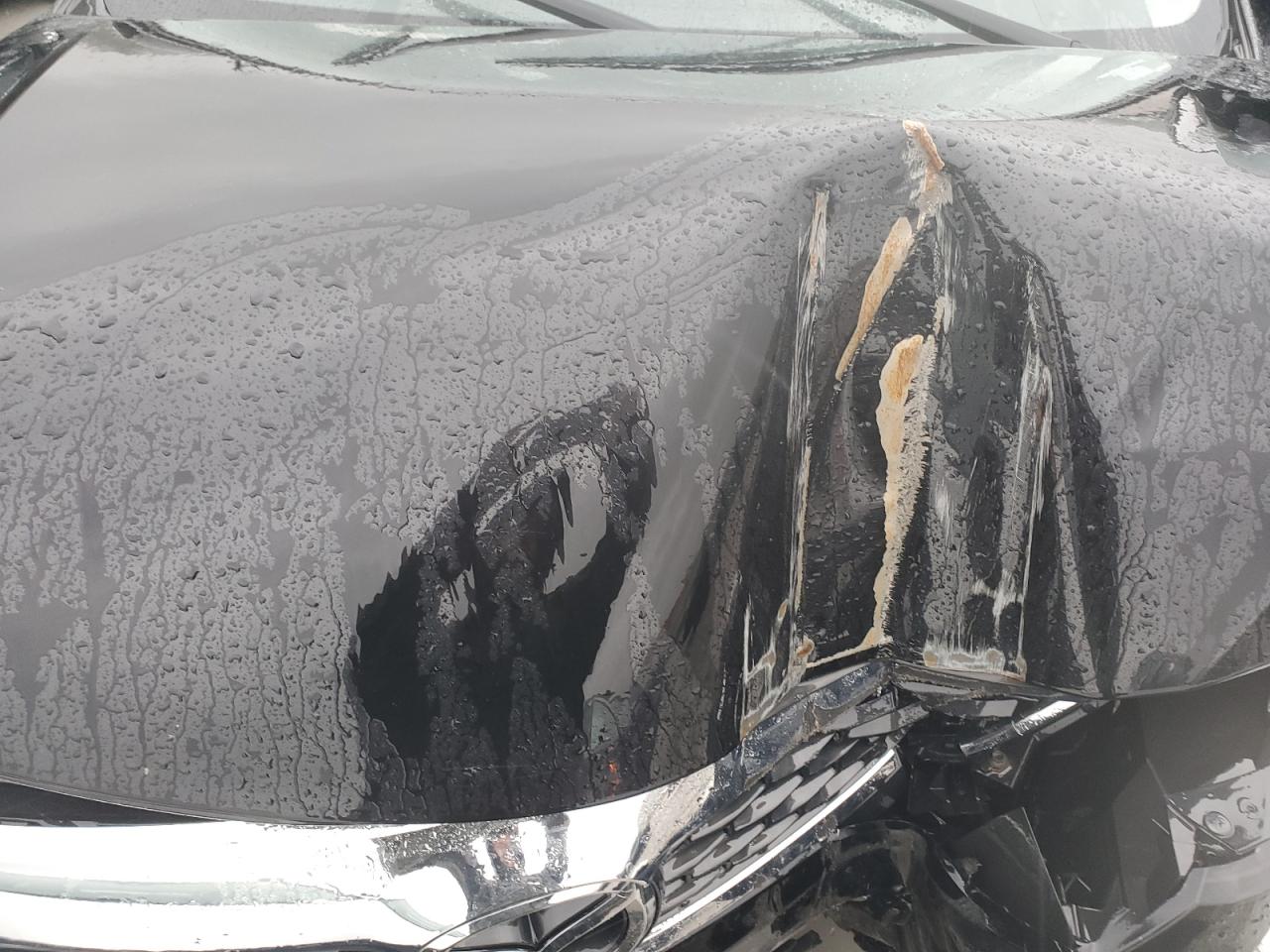 2012 Mazda Cx-9 VIN: JM3TB3DA8C0356154 Lot: 53231145