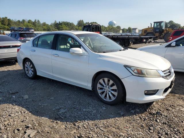  HONDA ACCORD 2013 White