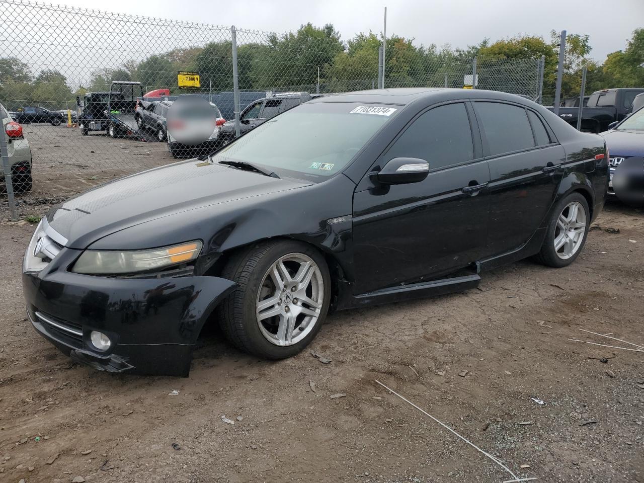 2008 Acura Tl VIN: 19UUA66298A041096 Lot: 71031374