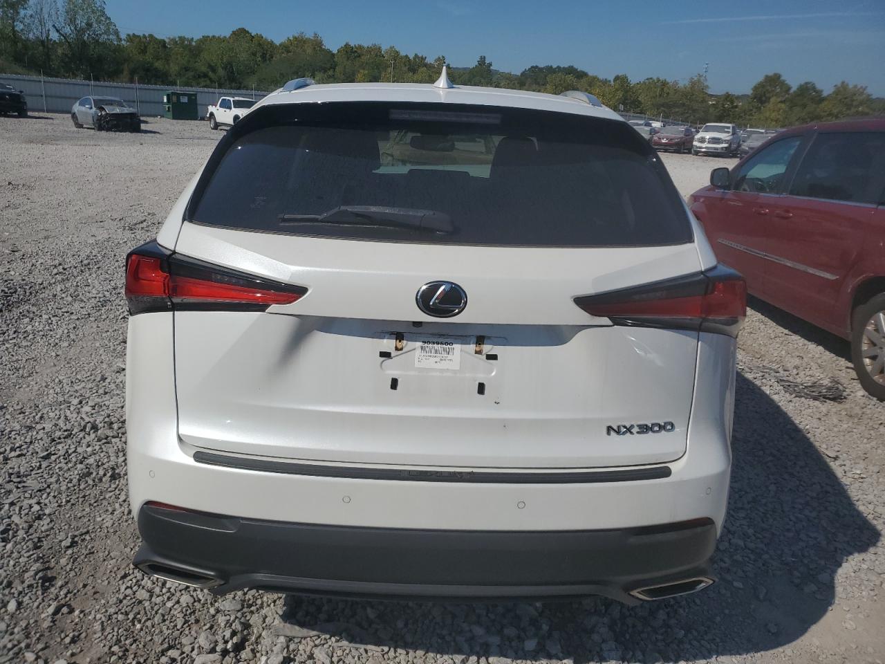 2019 Lexus Nx 300 Base VIN: JTJYARBZ6K2124732 Lot: 72696284