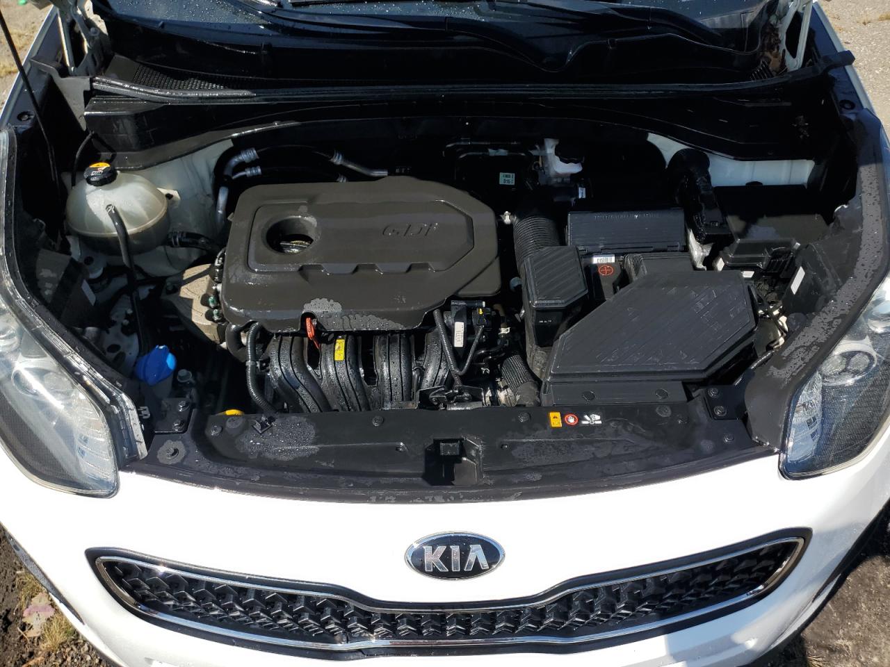 KNDPM3AC0H7118405 2017 Kia Sportage Lx