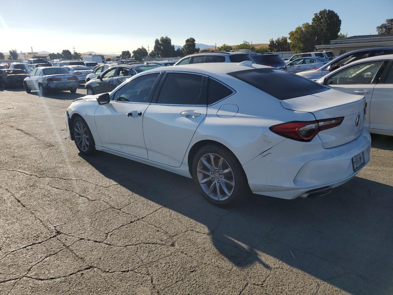 2021 Acura Tlx VIN: 19UUB5F34MA004936 Lot: 70467324