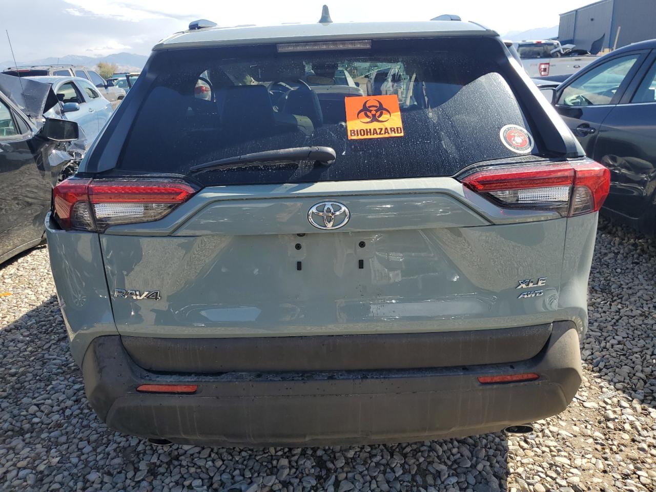 2019 Toyota Rav4 Xle VIN: 2T3P1RFVXKC056451 Lot: 71306144