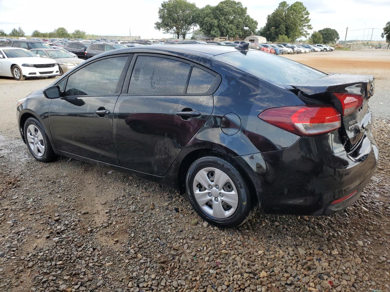 3KPFK4A76HE034373 2017 KIA FORTE - Image 2