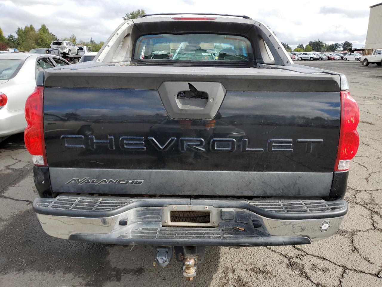 2005 Chevrolet Avalanche K1500 VIN: 3GNEK12Z45G123845 Lot: 72049724