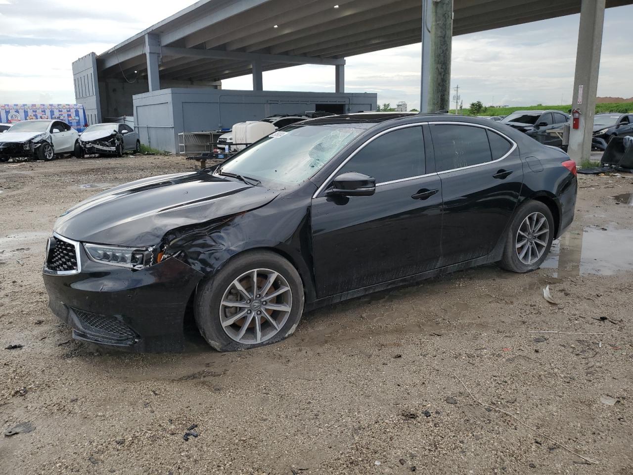 2019 Acura Tlx  იყიდება West Palm Beach-ში, FL - Biohazard/Chemical
